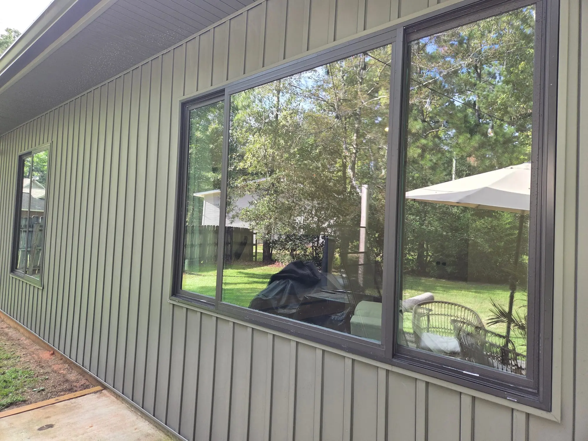 Large clean windows in dark frames on a green-sided home, reflecting a backyard and trees